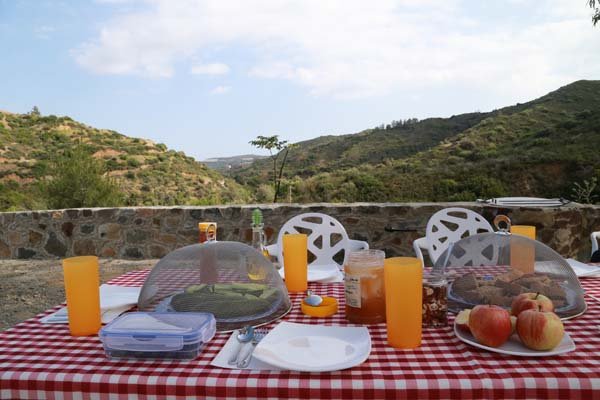img_2565_pic nic